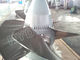 Turbina de Kaplan da turbina de reação hidro/turbina água de Kaplan com as lâminas de aço inoxidável do corredor